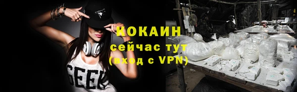 индика Абаза