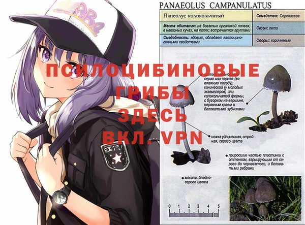 герыч Алзамай