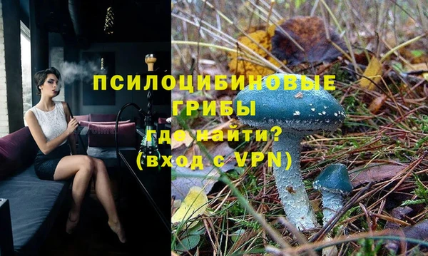 индика Абаза