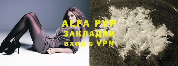 индика Абаза