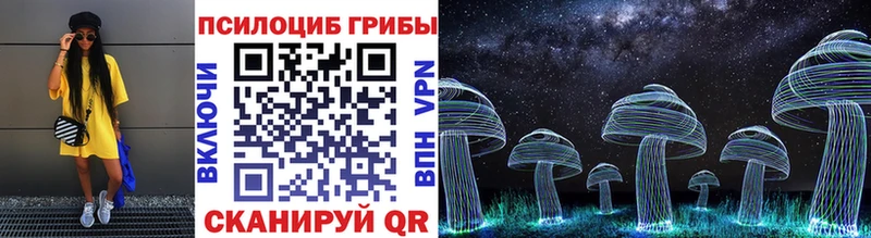 дарнет шоп  Черемхово  Псилоцибиновые грибы Cubensis 